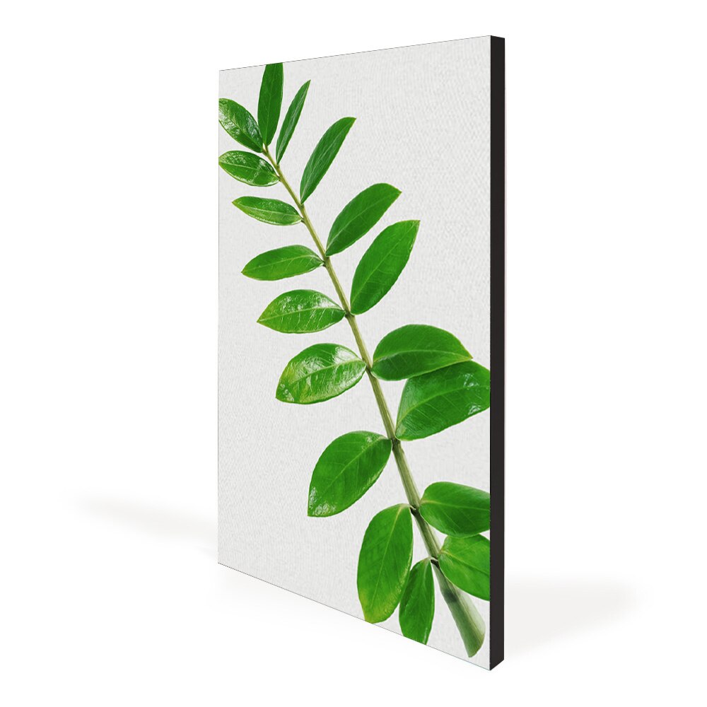 Aspen Slim Black Fabric Frames - Wall Mounted (19MM SEG Extrusion)  - Saver — Graphic Package